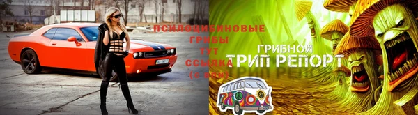 Альфа ПВП Аркадак