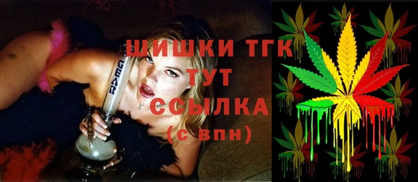 Альфа ПВП Аркадак