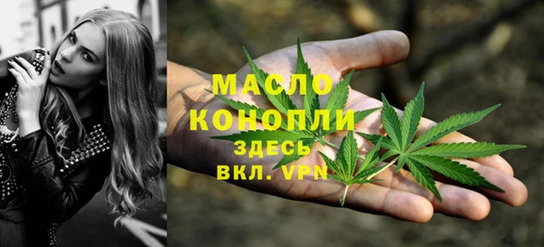Альфа ПВП Аркадак