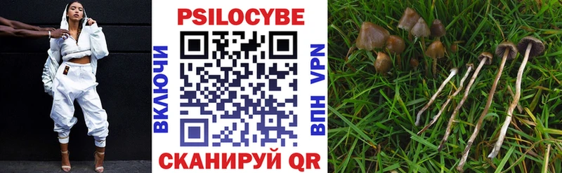 Галлюциногенные грибы GOLDEN TEACHER  где найти   Краснообск 